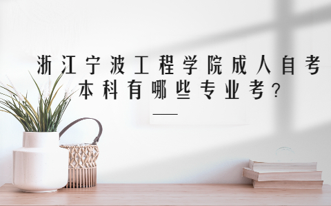 浙江寧波工程學(xué)院成人自考本科有哪些專(zhuān)業(yè)考?